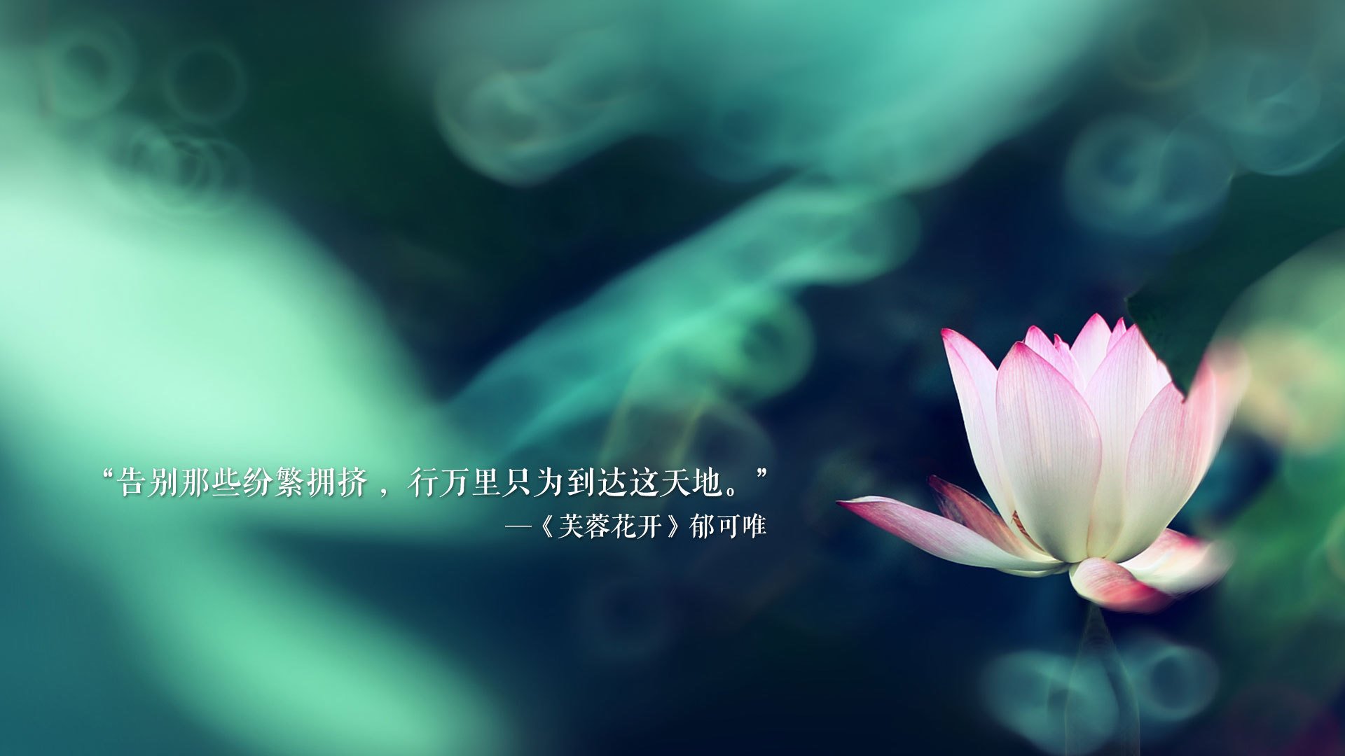 尼姆客场战胜圣图尔登，斩获三分，尼姆主场球衣
