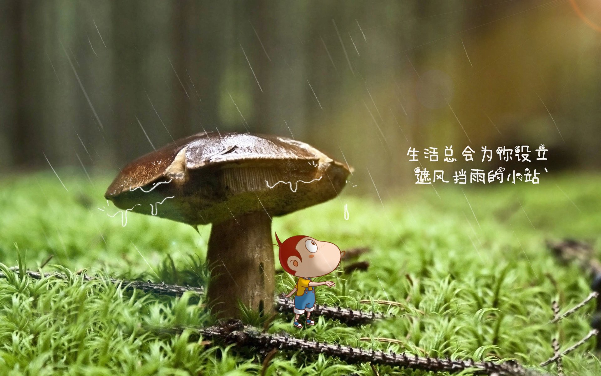 Leyu Sport下载-扎马莱克签约新赞助商，提升品牌影响力，马扎克贴吧