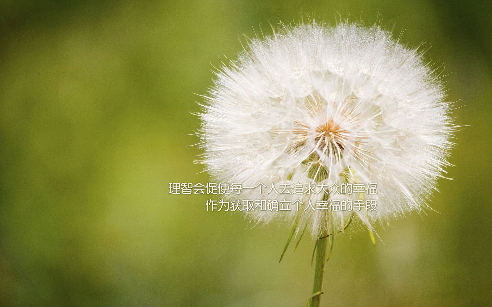 欧国联小组赛完美收官，国家队瞄准欧锦赛夺冠，欧国联小组赛前几名晋级