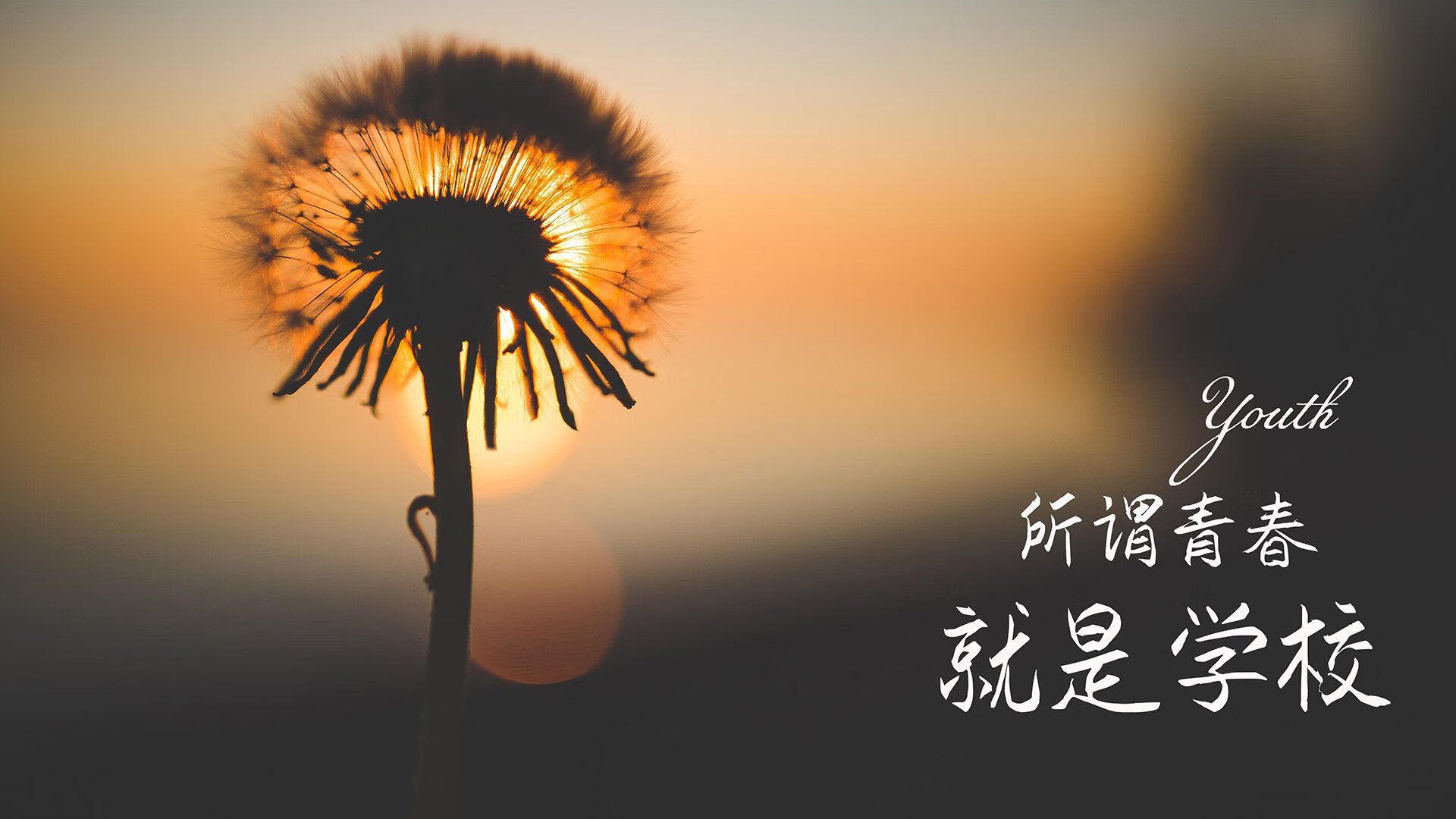 那不勒斯队长续约成功，那不勒斯队主帅