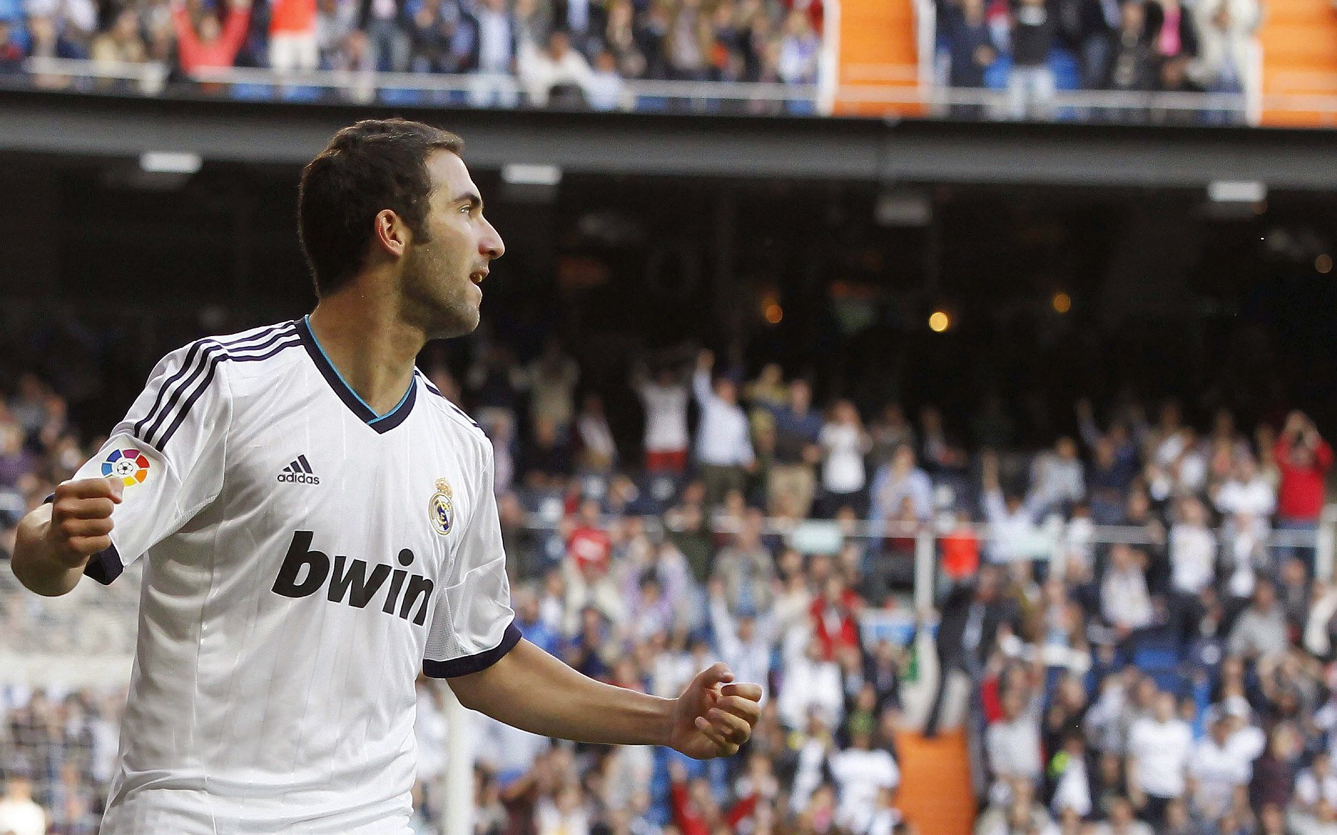 “球场上的趣味冷知识，快来涨知识”，球场趣事作文500字