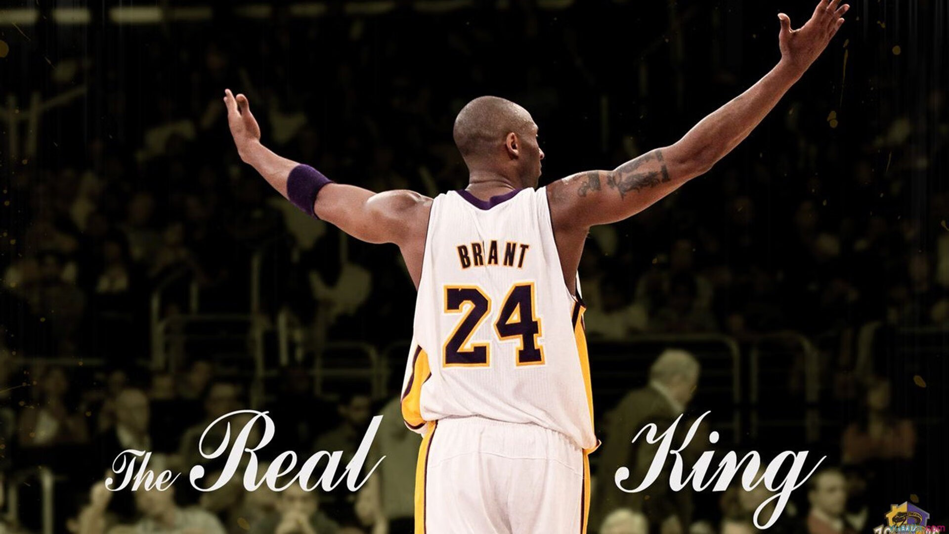 赛后车手说：比赛中的关键决策，比赛车辆