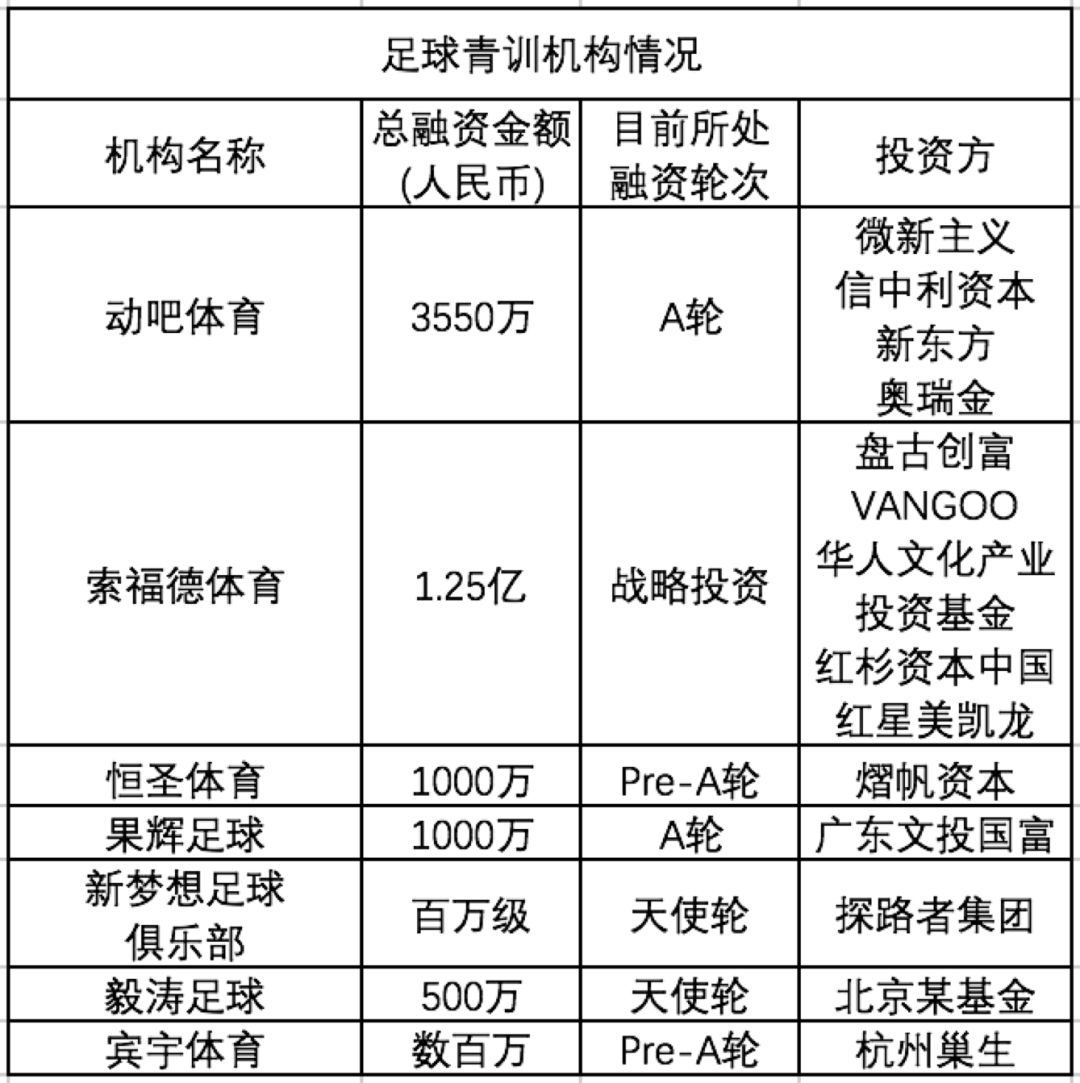 关于中国足球青训教练的培养体系：打造专业人才的信息